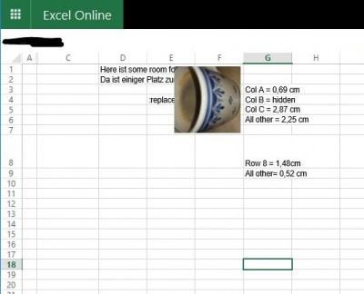 Beispielk für das Layout in Excel Online