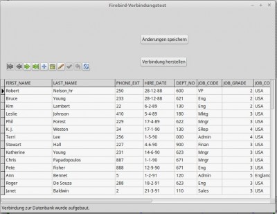 Das DBGrid nach erfolgreicher Verbindung mit der DaBa