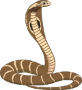 Benutzeravatar