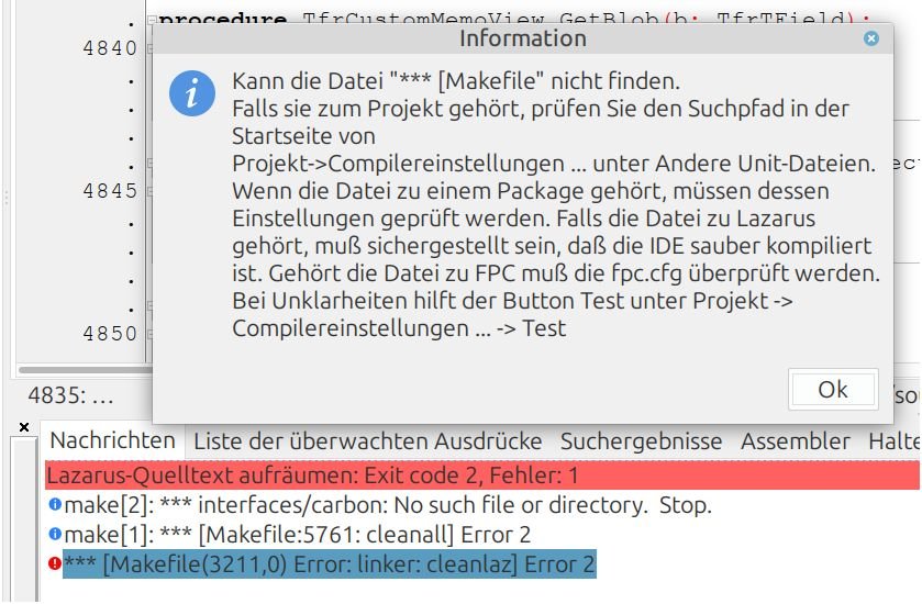Fehler_Lazarus.jpg
