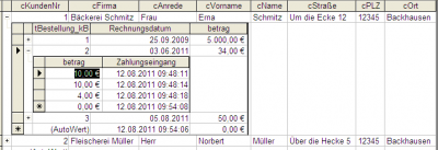 Dateneingabe mit der angegebenen Modellierung