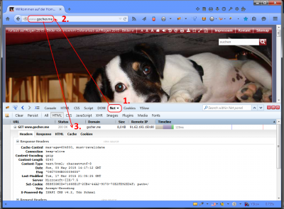 Firebug