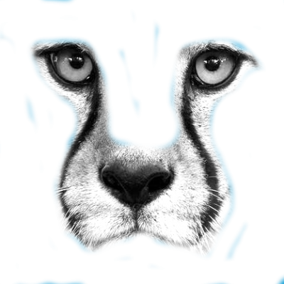 cheetah.png